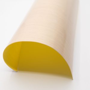 Fiber Glass Cloth PTFE